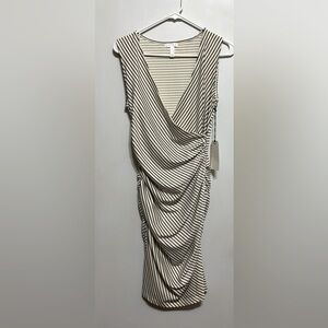 Leith Ivory & Black Striped Dress